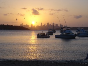 Sydney sunset